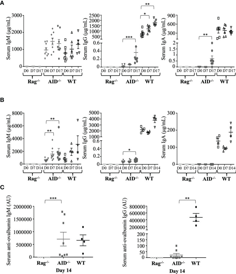 Figure 2