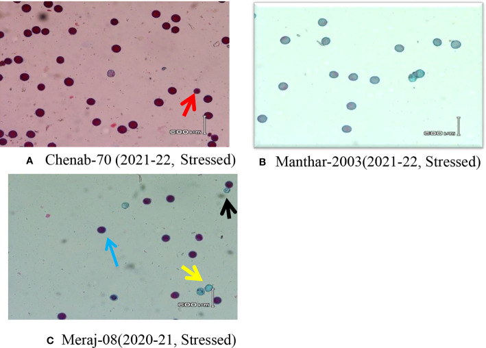 Figure 2