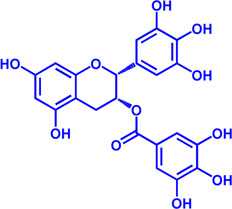 graphic file with name FPHAR_fphar-2022-1067652_wc_tfx20.jpg