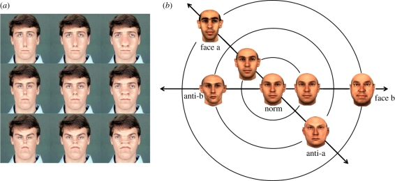 Figure 2.