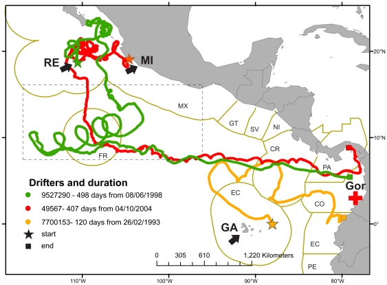 Figure 6