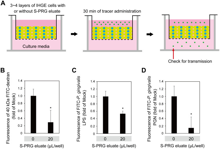 Fig 6