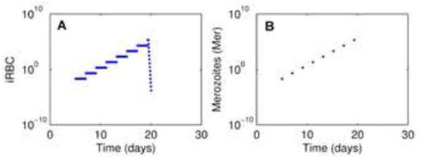 Fig. 12