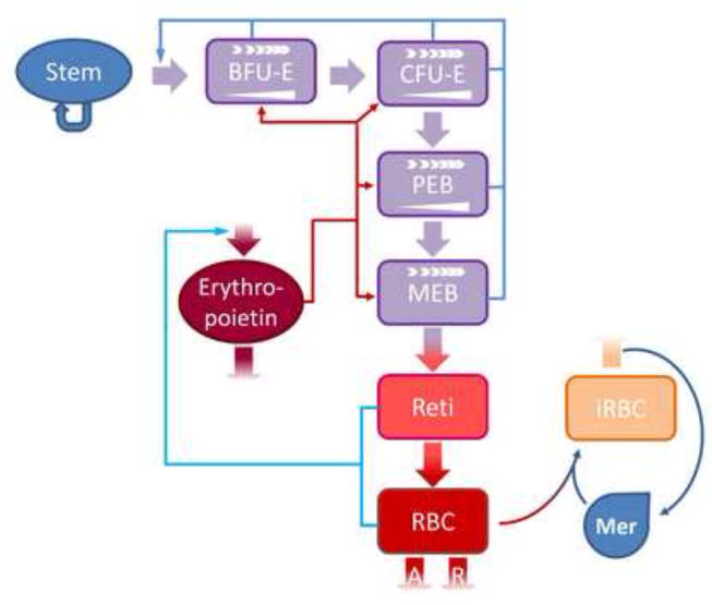 Fig. 10