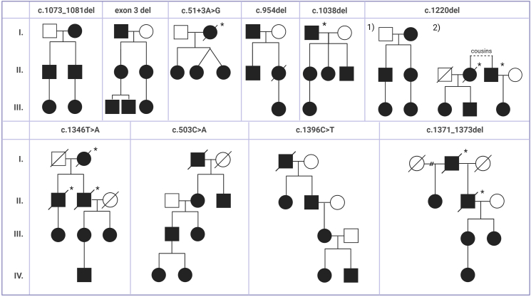 Fig. 4