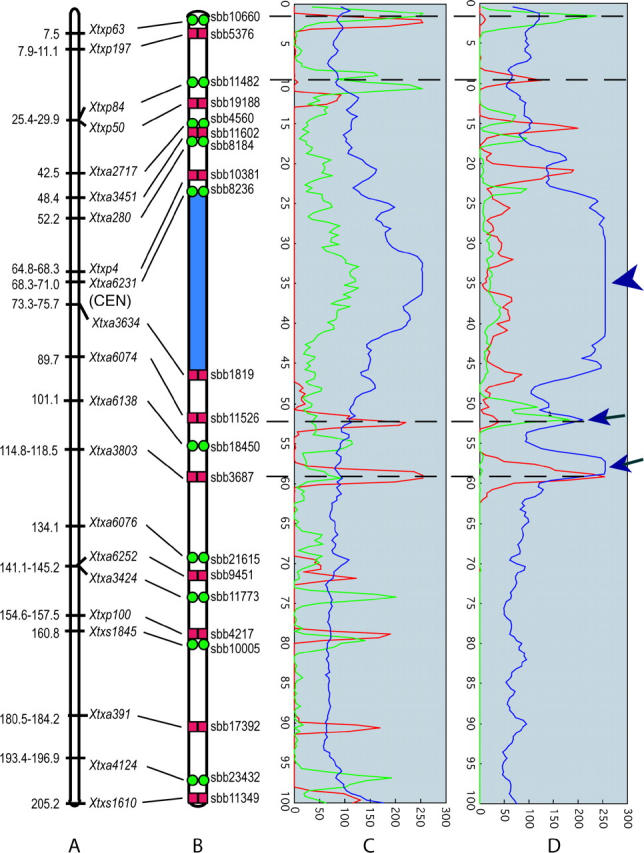 Figure 4.—