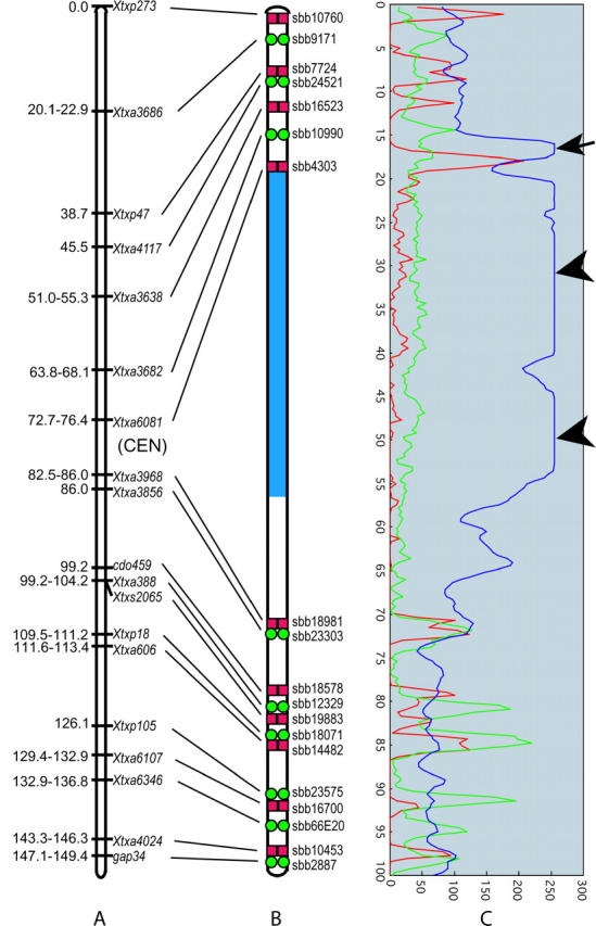 Figure 6.—