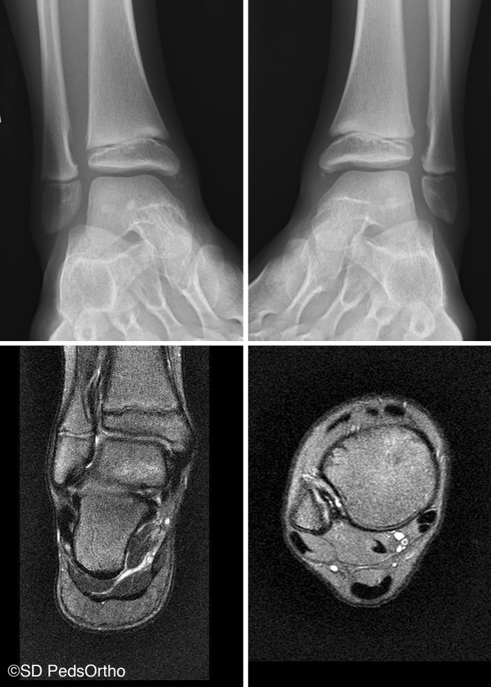 Fig. 7