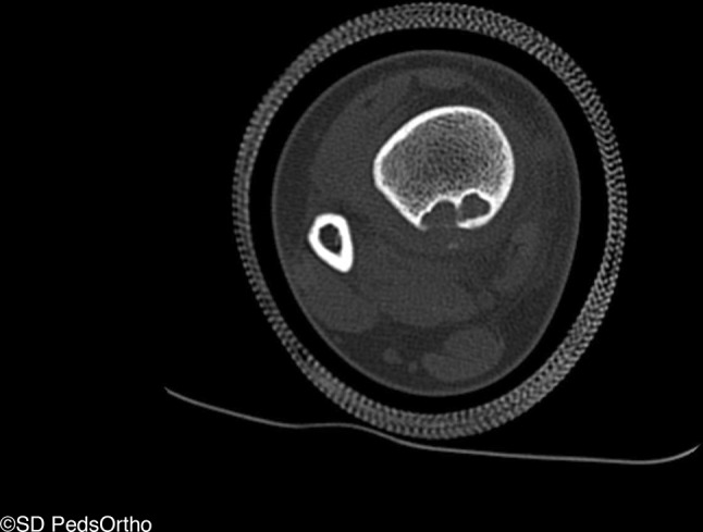 Fig. 5