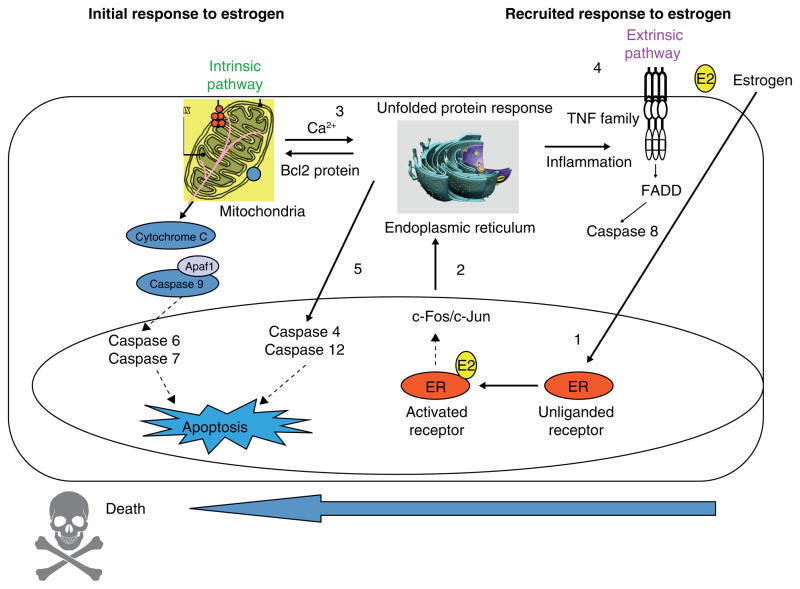 Figure 14