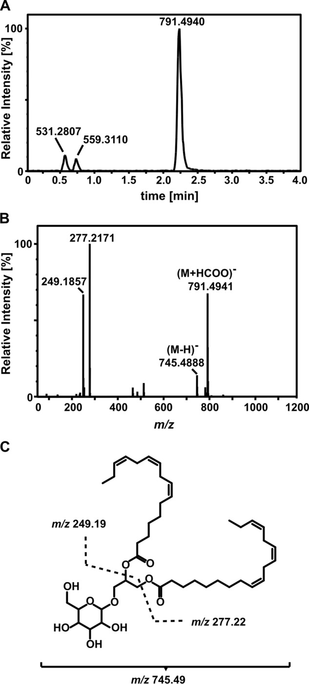 FIGURE 6.