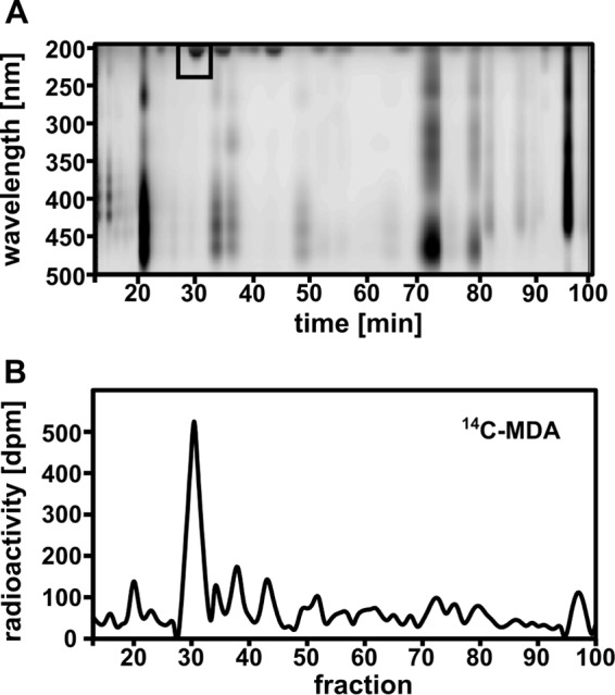 FIGURE 4.