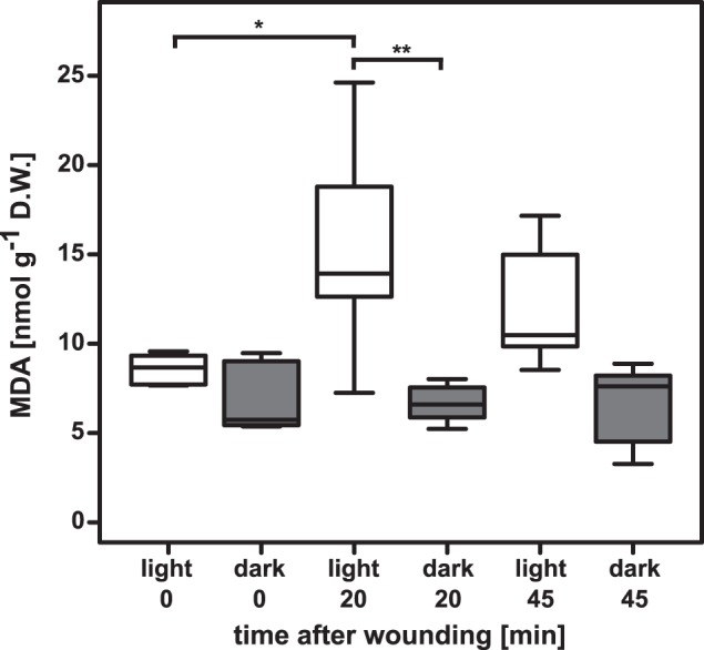 FIGURE 1.