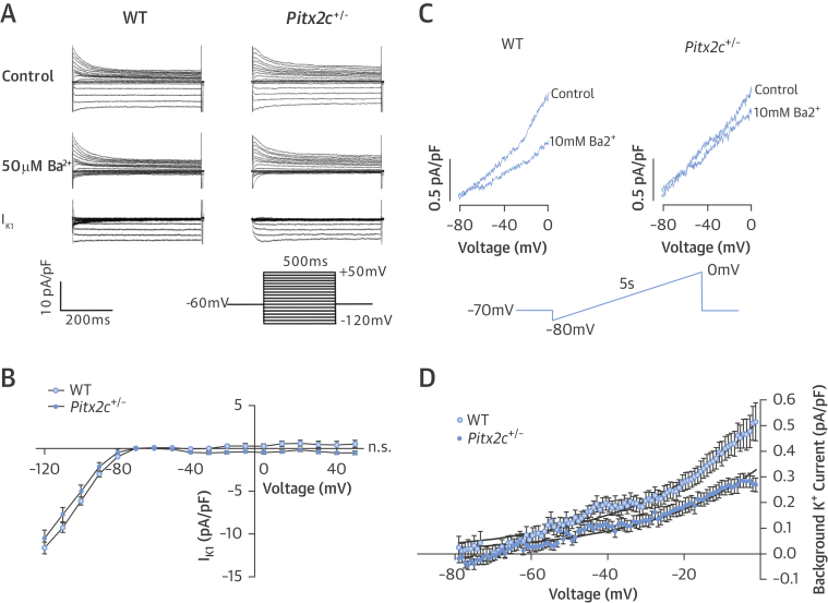 Figure 6