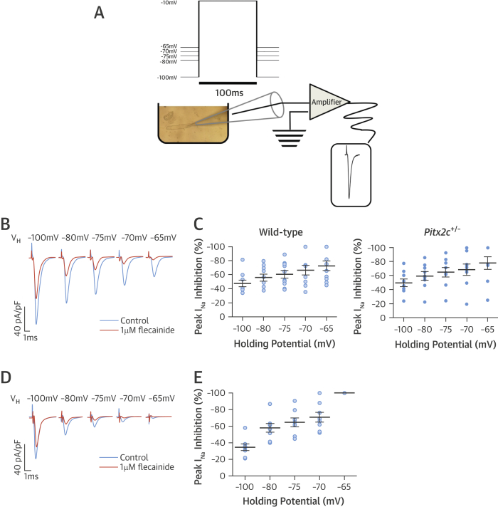 Figure 5