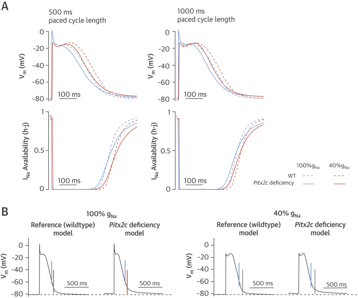 Figure 3