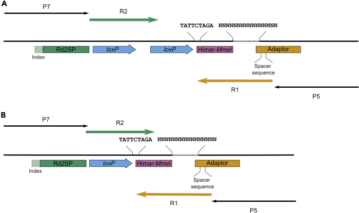 Figure 6