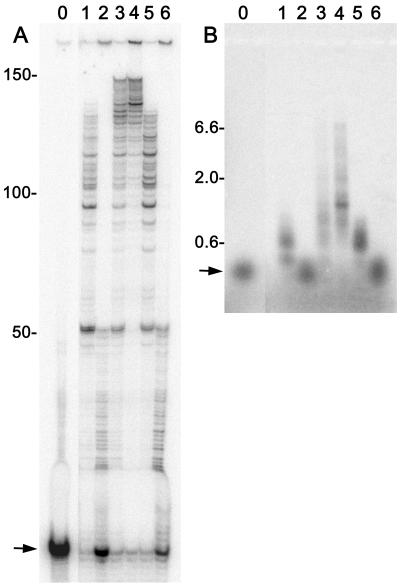 Figure  7