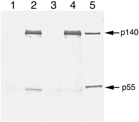 Figure  6