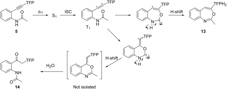 Scheme 5