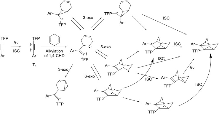 Scheme 1