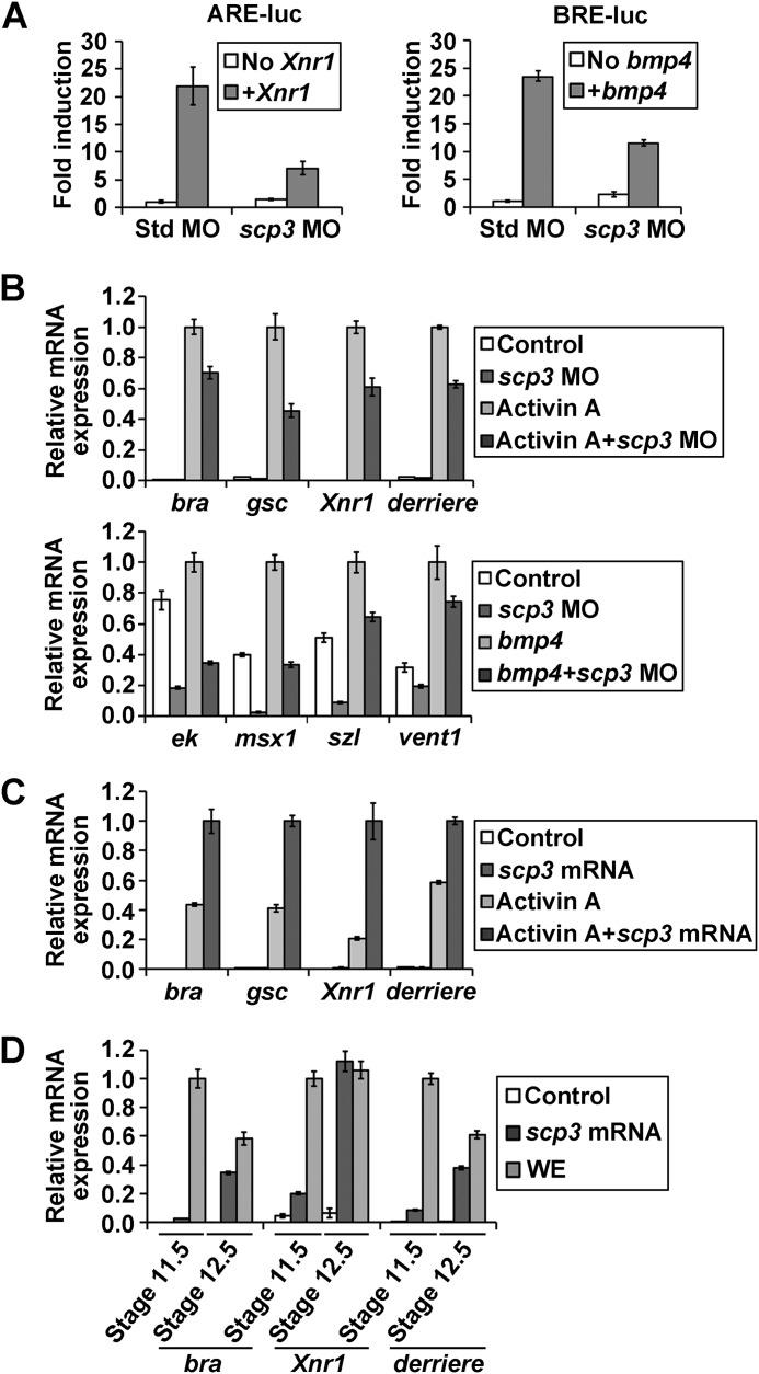 FIGURE 4.