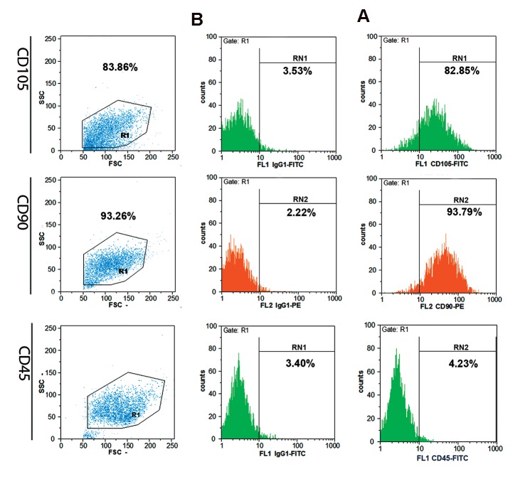 Fig.2