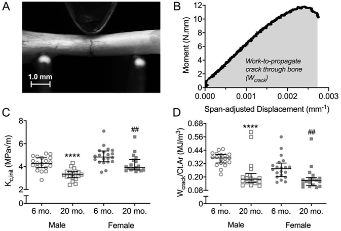 Figure 4: