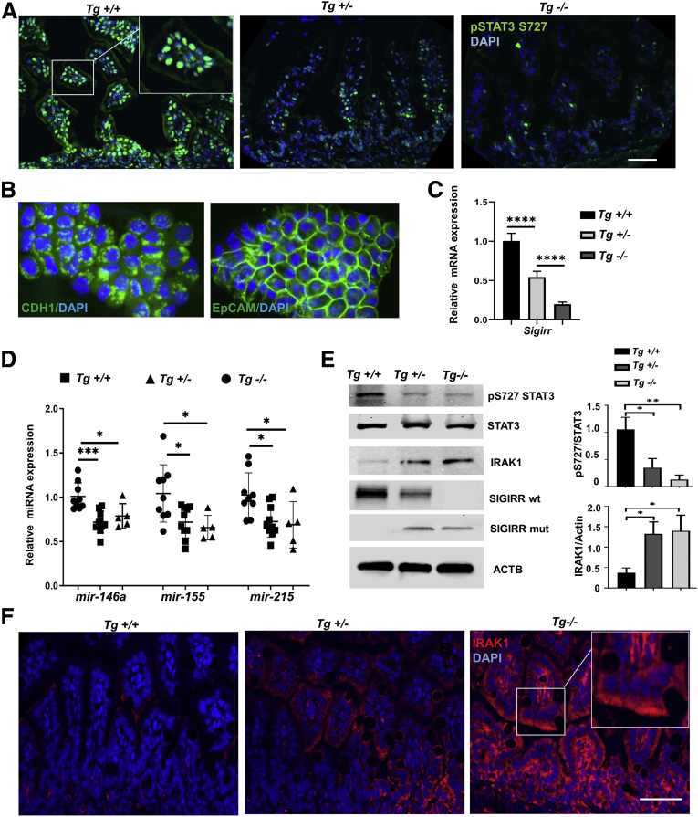 Figure 6