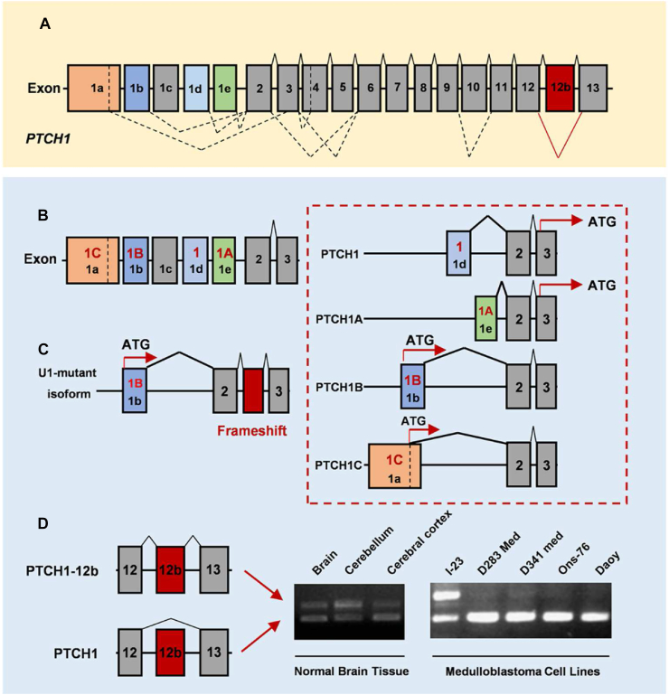 Fig. 2