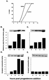 FIG. 9