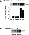 FIG. 7