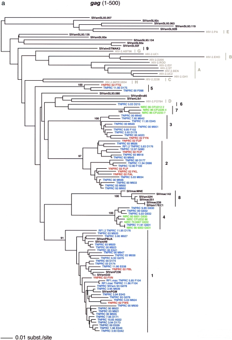 FIG. 1.