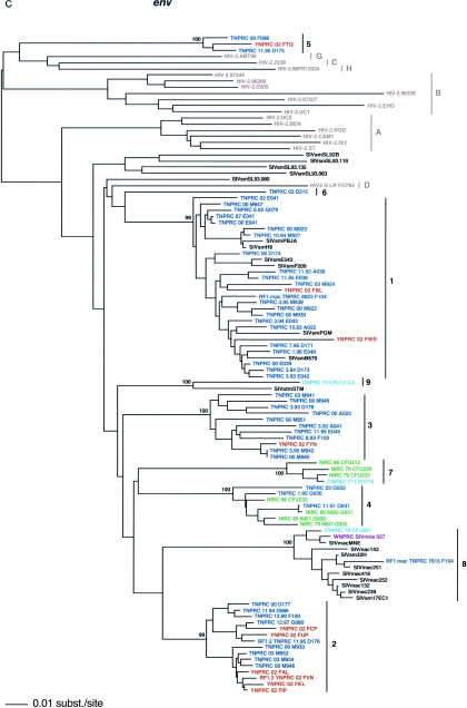 FIG. 1.