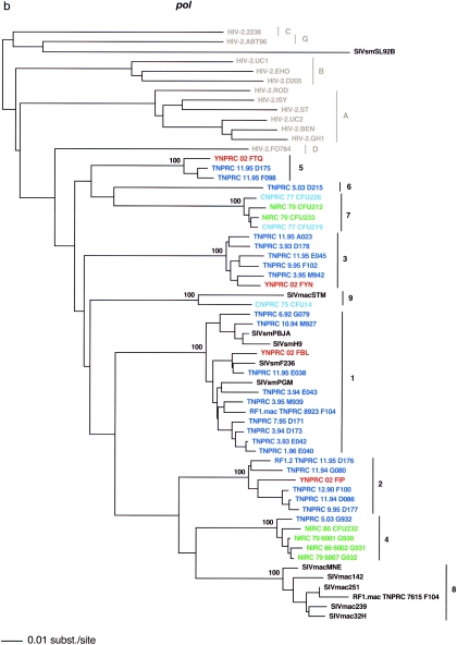 FIG. 1.