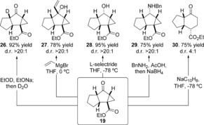 Scheme 3