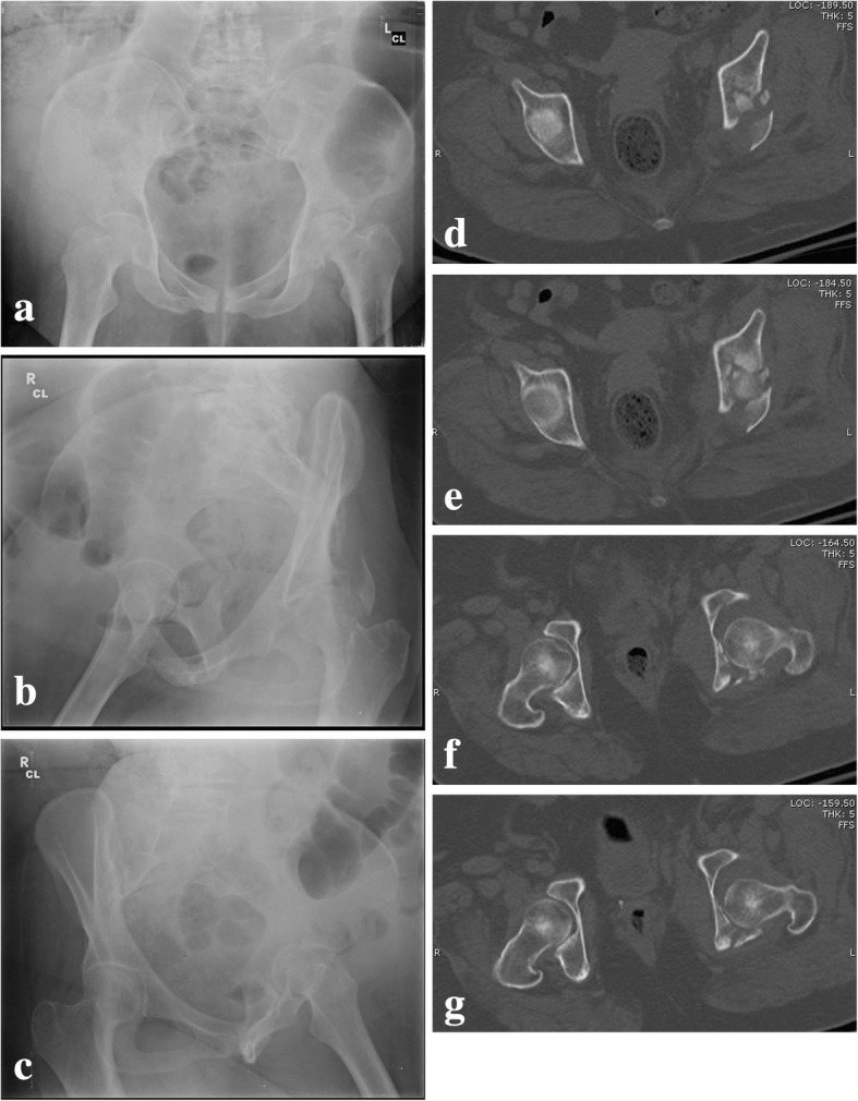 Fig. 6