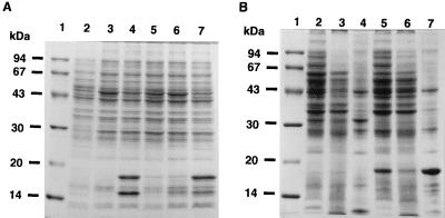 FIG. 6