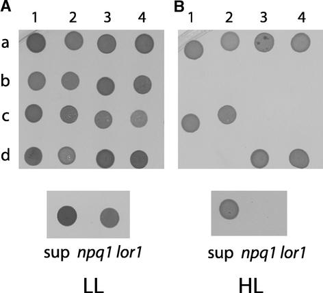 Figure 4.