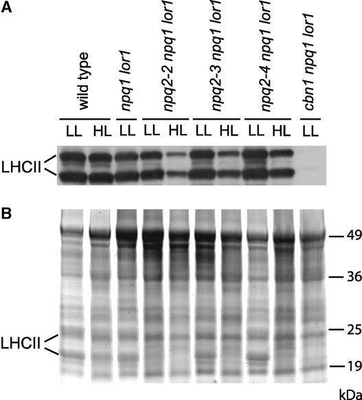 Figure 9.