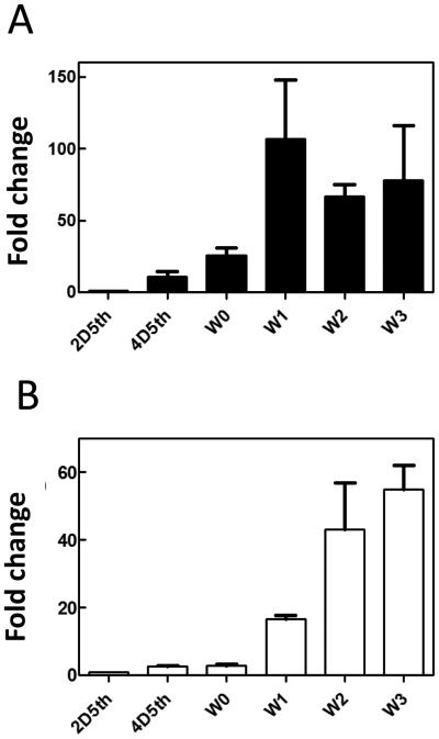 Fig.10