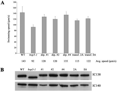 Figure 5.