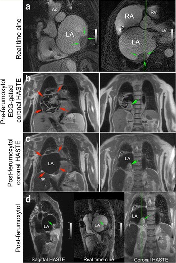 Fig. 8