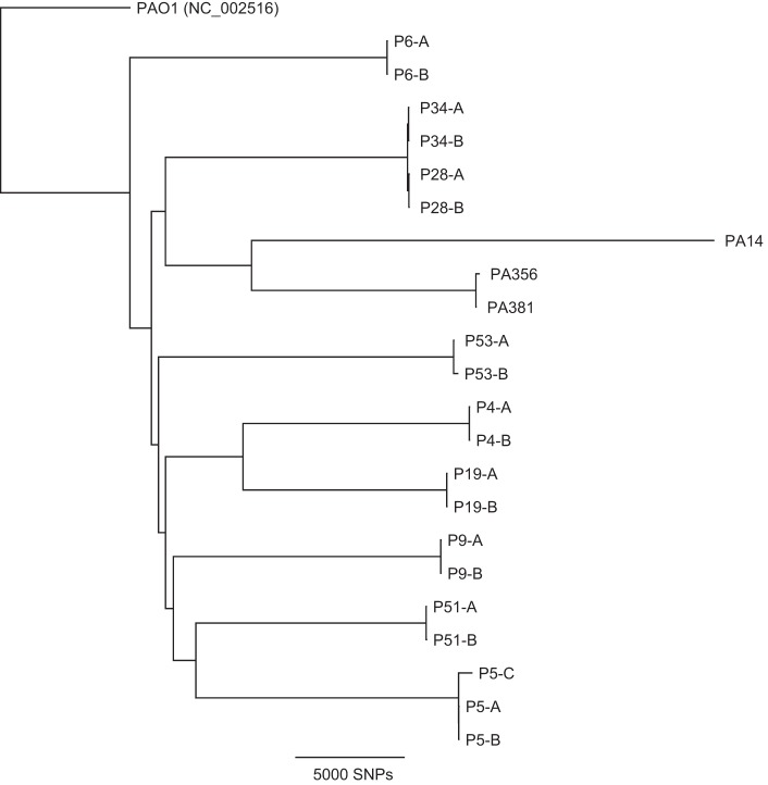 FIG 3 