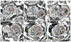Fig. 2