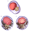 Fig. 3