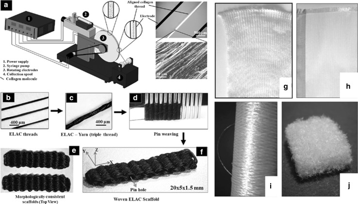 Fig. 3