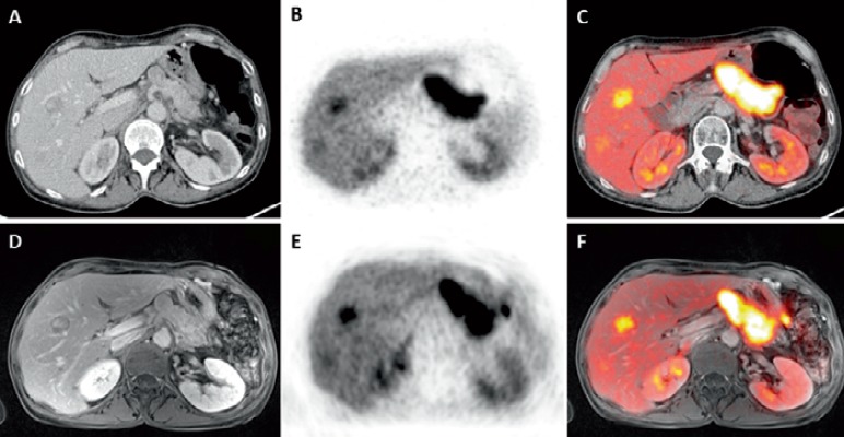 Fig. 8