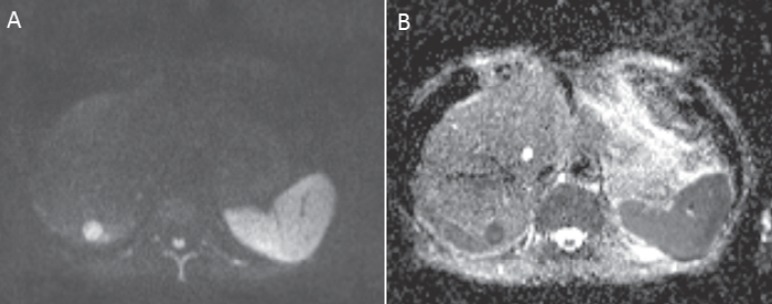 Fig. 5