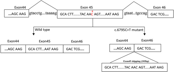 FIGURE 3